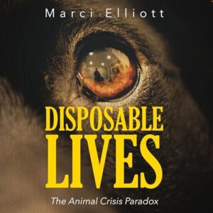 Version 100 - LHV Audio Services Close-up of an animal's eye on a book cover reading 'Disposable Lives' by Marci Elliott, subtitle 'The Animal Crisis Paradox'.